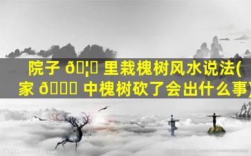院子 🦋 里栽槐树风水说法(家 🐞 中槐树砍了会出什么事)